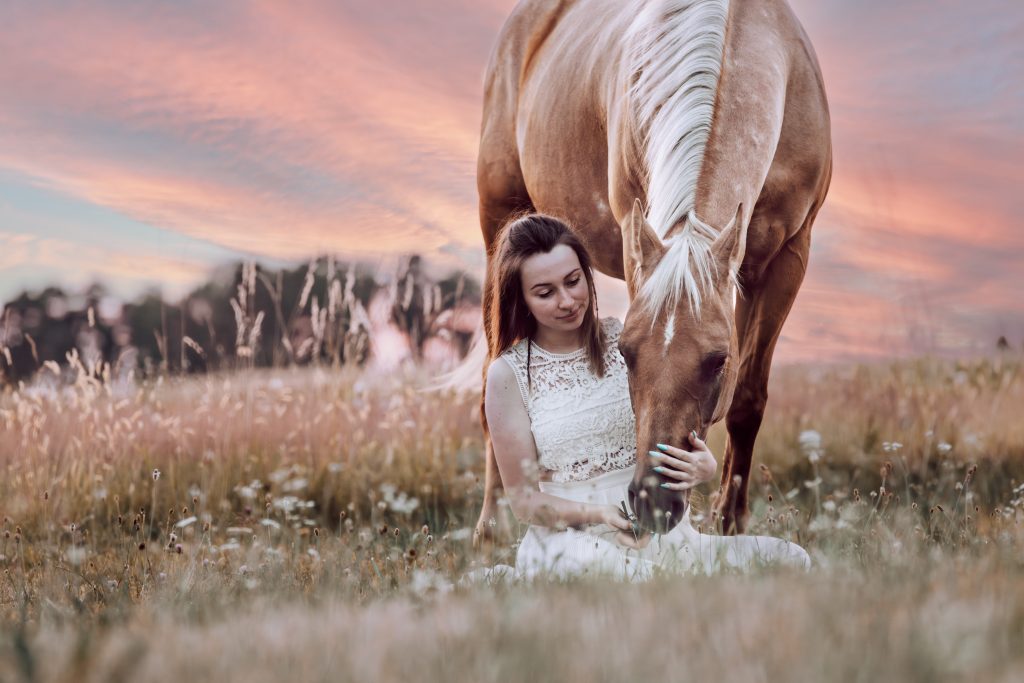 Frau mit Pferd auf der Wiese – Pferdefotografie Oberösterreich