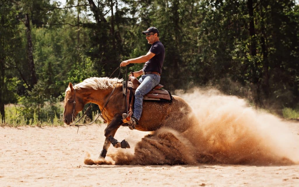 Westernpferd beim Sliding Stop – Reining Fotografie Österreich