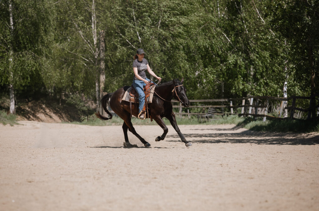 Westernreiten in der Arena – Reining Fotografie Österreich