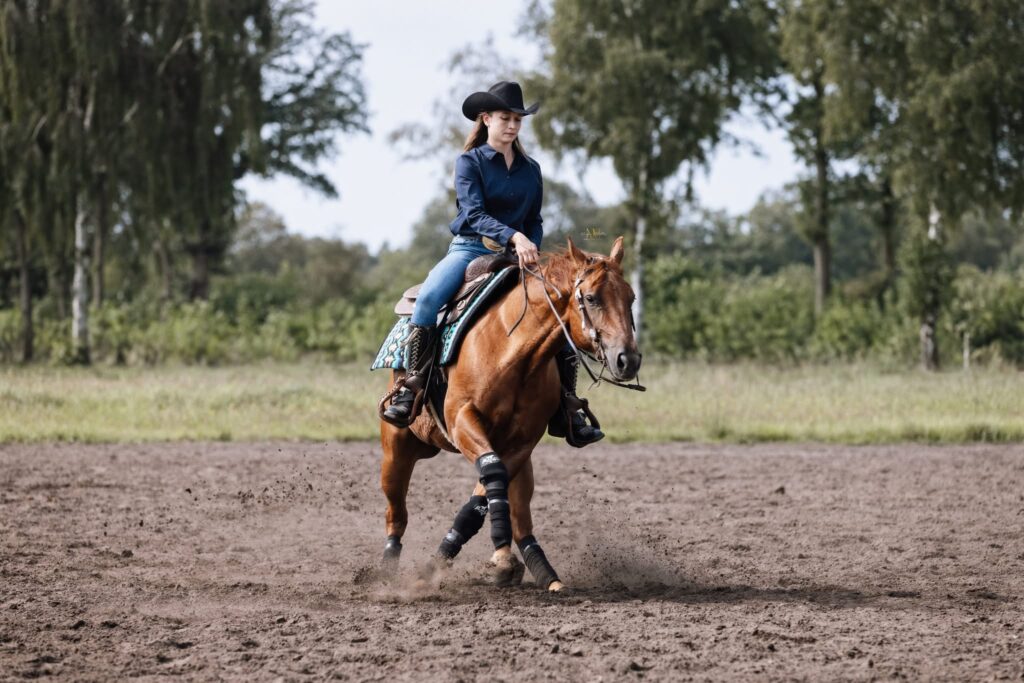 Westernreiten in der Arena – Reining Fotografie Österreich